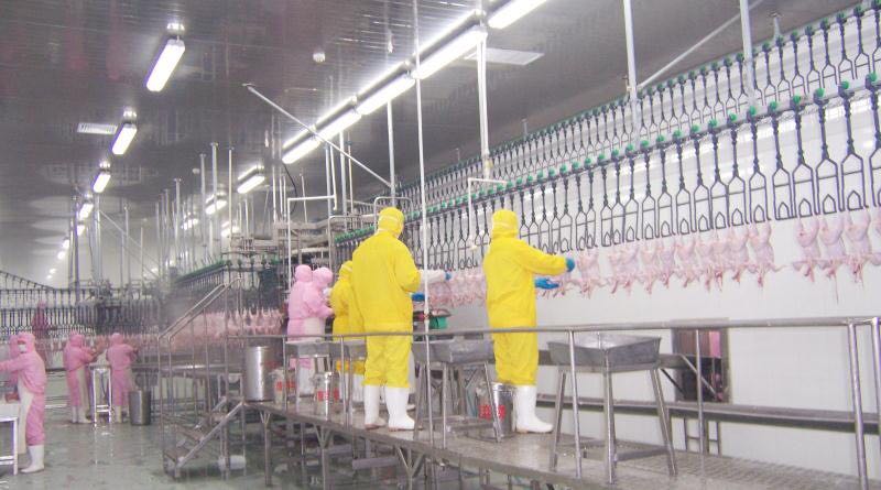 青島先優(yōu)食品丨雞排加工丨雞排批發(fā)丨雞排廠家丨雞排加盟